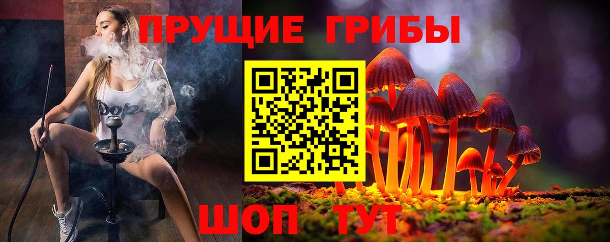 Галлюциногенные грибы прущие грибы Каменск-Шахтинский